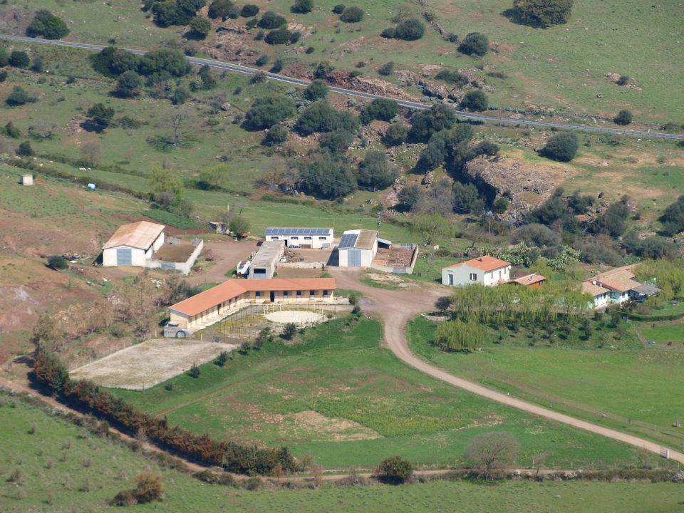 Agriturismo Cugumia Thiesi Exterior photo